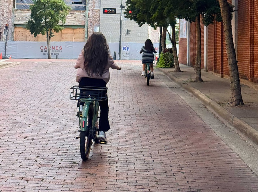 Electric bikes lined up on a scenic path